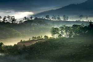 舟山婚姻纠纷怎么处理好