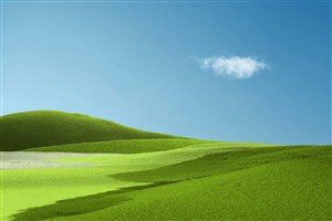 手纹感情线出现圆圈纹路